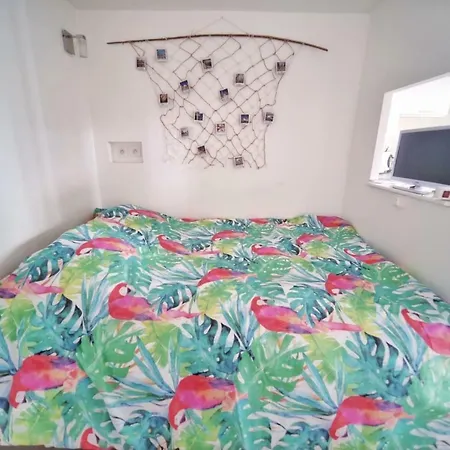 Charming - Heart Of The / Downtown Apartamento *